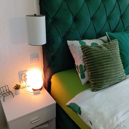 Green Cactus Rooms - Unique And Cozy House Senta Exterior foto