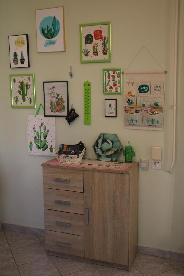 Green Cactus Rooms - Unique And Cozy House Senta Exterior foto