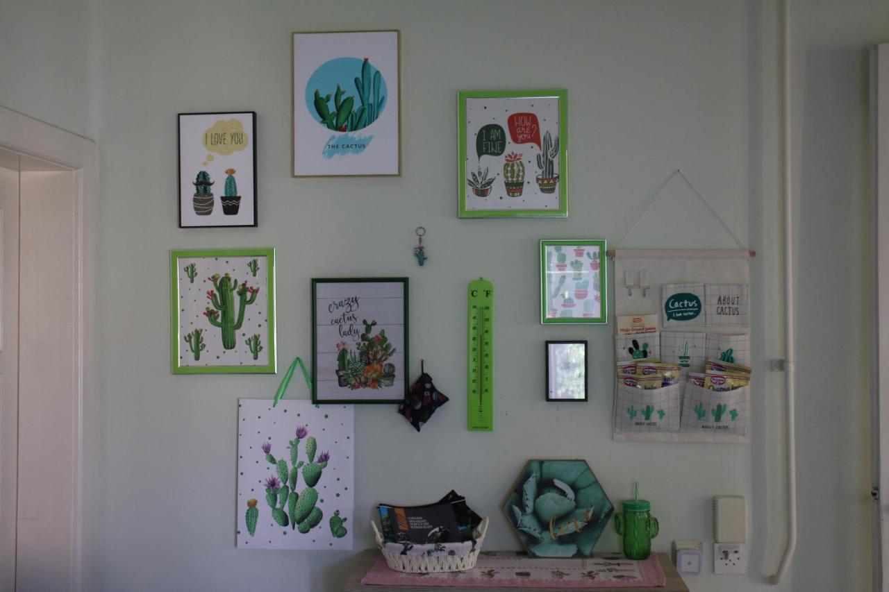 Green Cactus Rooms - Unique And Cozy House Senta Exterior foto