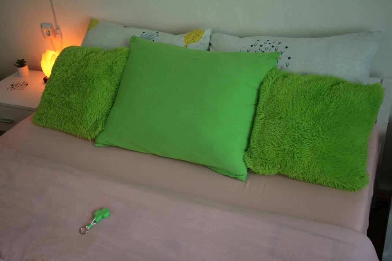 Green Cactus Rooms - Unique And Cozy House Senta Exterior foto