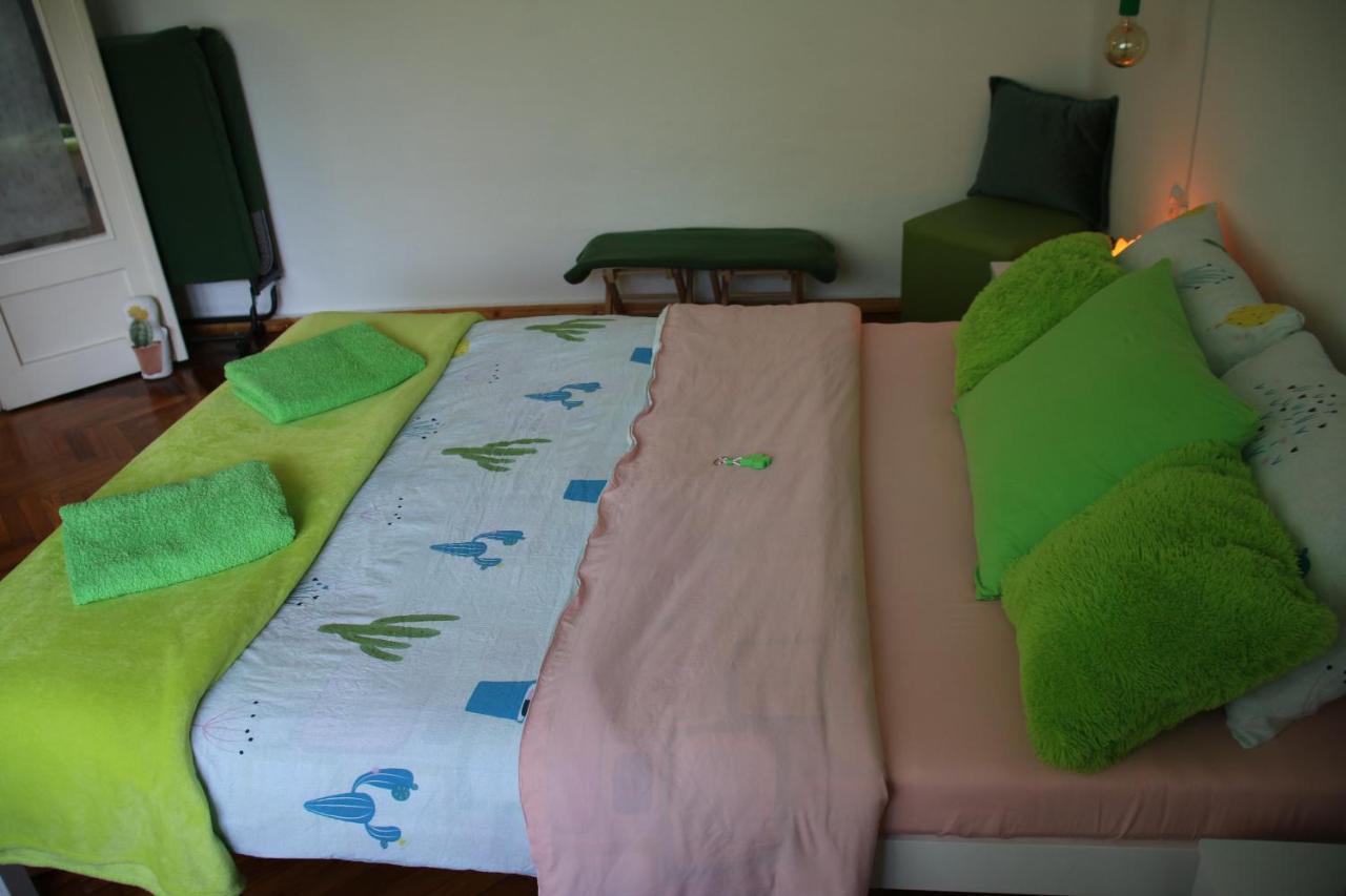 Green Cactus Rooms - Unique And Cozy House Senta Exterior foto